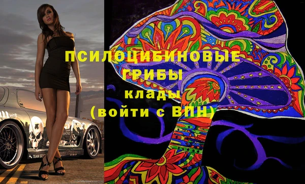 мяу мяу мука Баксан