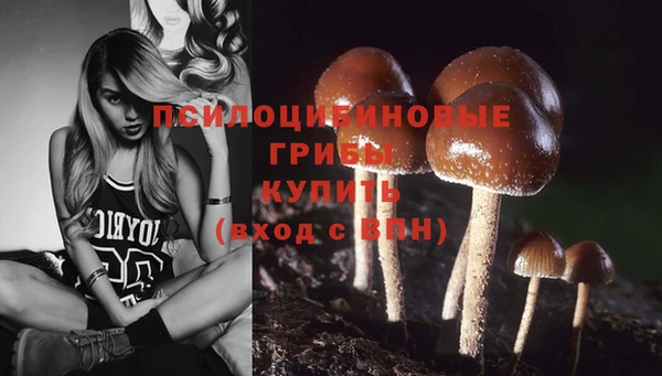 мяу мяу мука Баксан