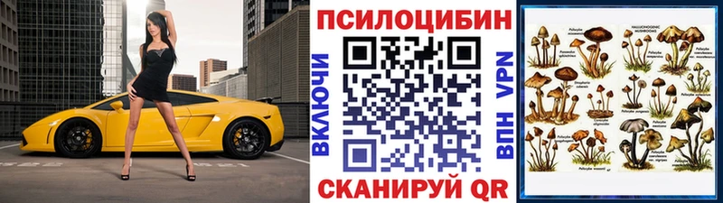 блэк спрут   Воскресенск  Галлюциногенные грибы мицелий 